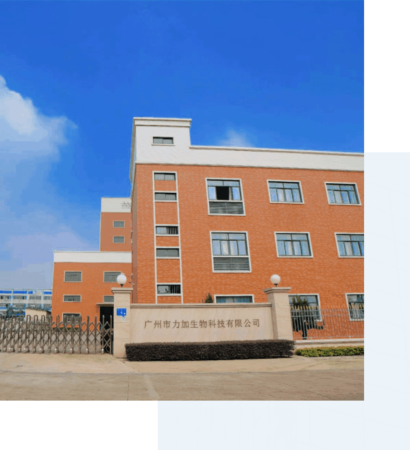 DDpay钱包(China)官网