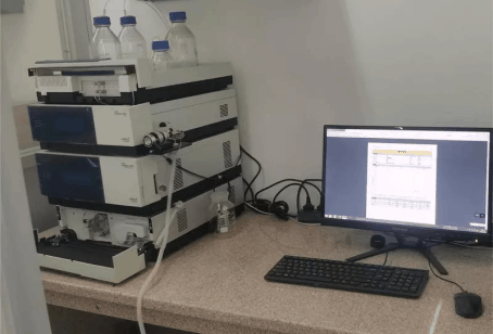 DDPAY钱包官方网站