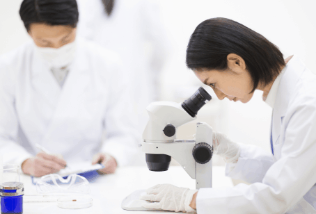 DDPAY钱包官方网站